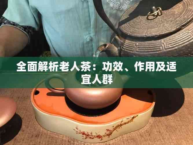 全面解析老人茶：功效、作用及适宜人群
