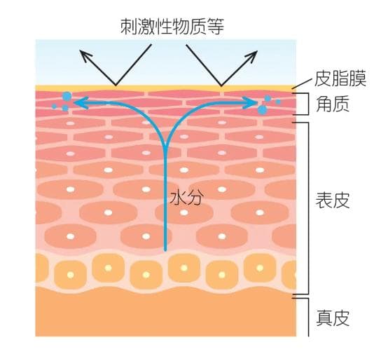 干燥肌自救指南：解锁深层补水技巧