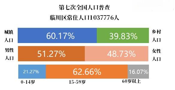 临川区人口数据：从普查到现状的全面解析