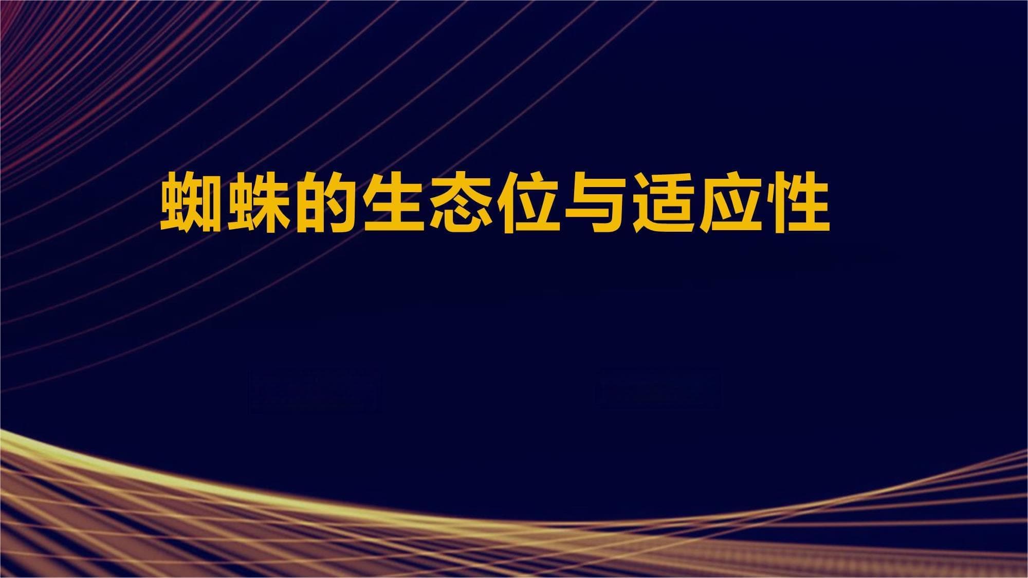 蜘蛛的生态位与适应性