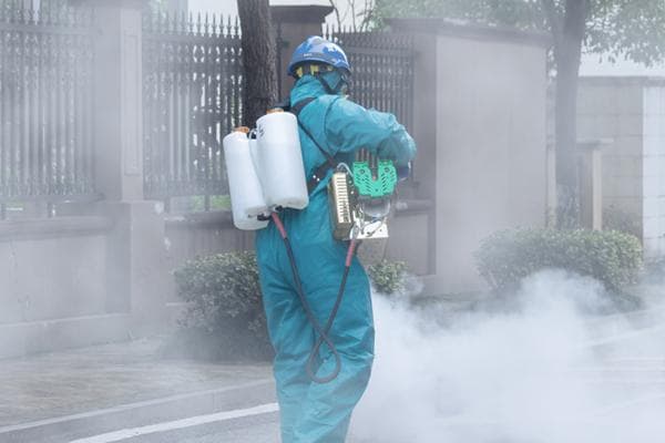 教你几招轻松摆脱害虫困扰！