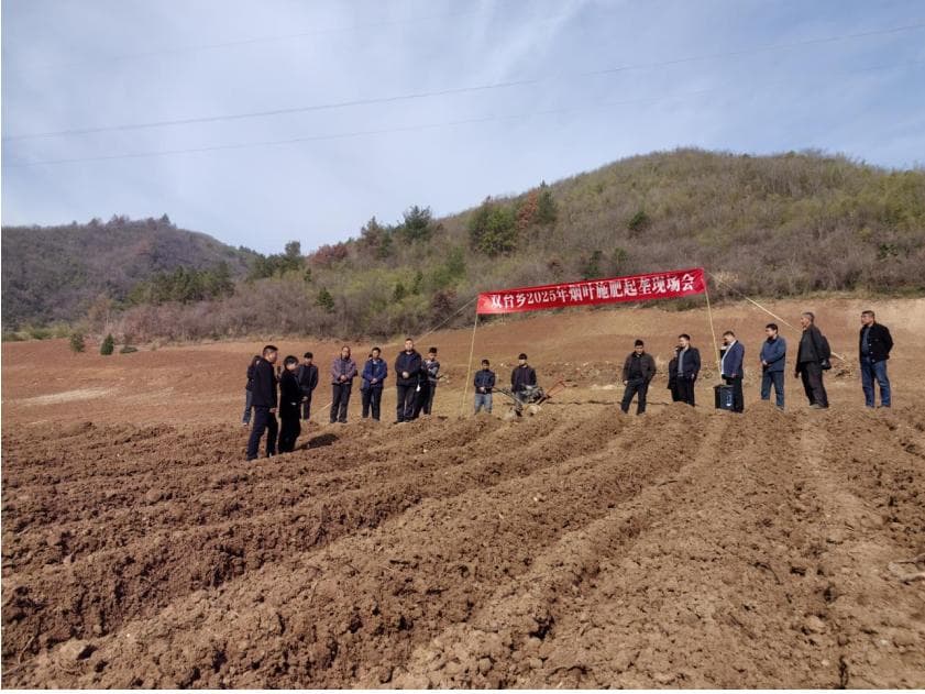 精心起春垄，烟田展富图