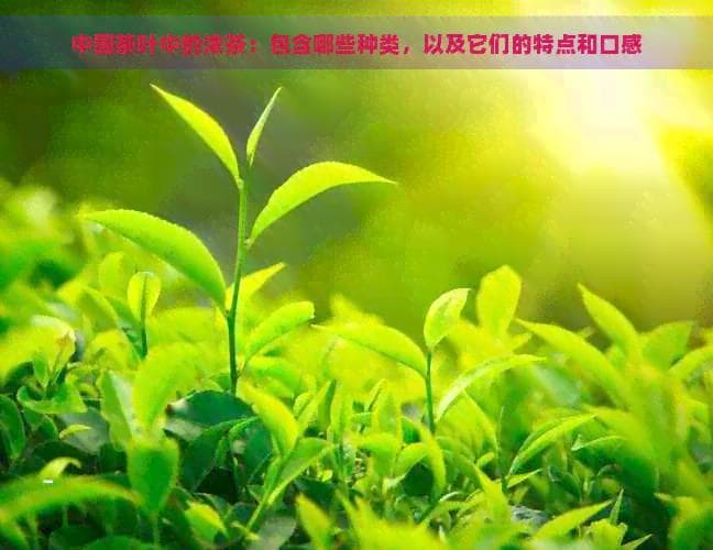 中国茶叶中的浓茶：包含哪些种类，以及它们的特点和口感