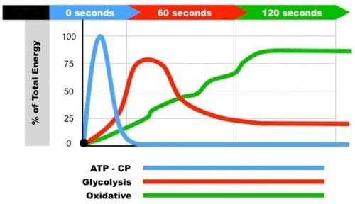 最有效的减重运动指南：从有氧到HIIT，再到阻力训练