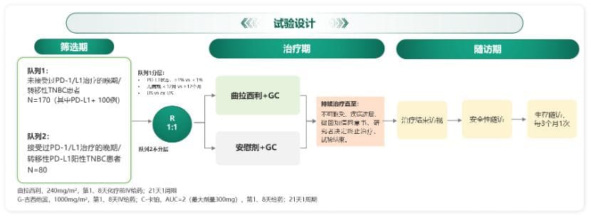钟殿胜教授组稿｜刘畅：从作用机制及临床研究看新型骨髓保护药物曲拉西利的合理应用