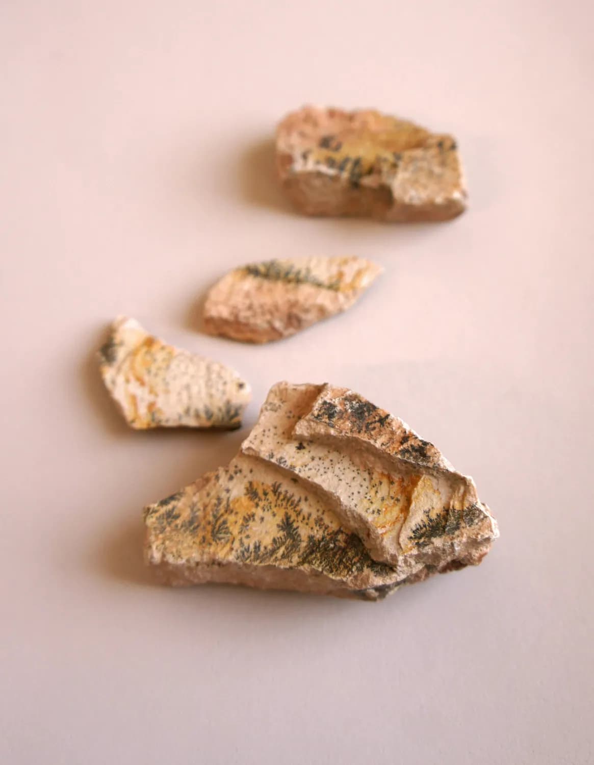 探访秦王寨：荥阳市的文化瑰宝