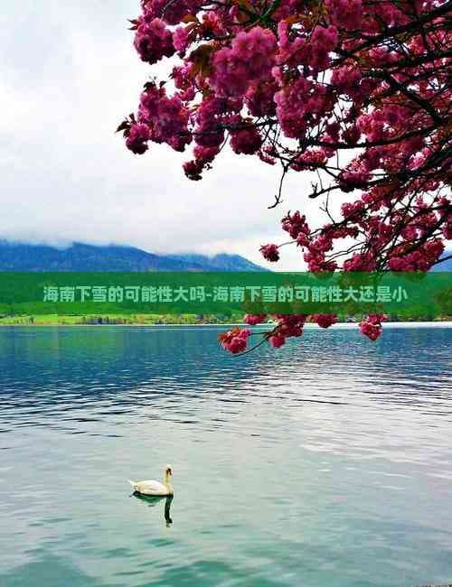海南下雪的可能性大吗？从历史到未来的全面解析