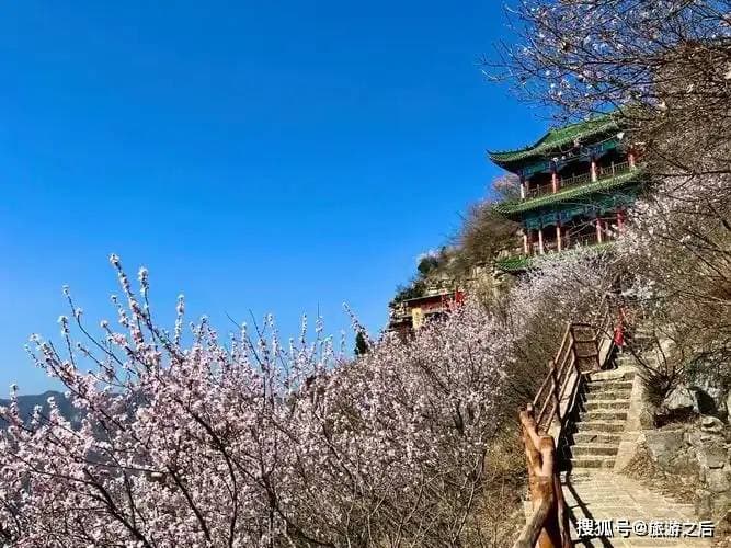 河南五大赏桃花胜地，部分景区免门票！