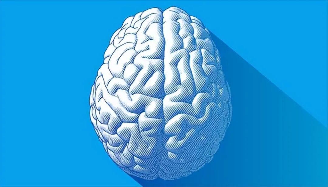 为什么灵长类拥有巨大的大脑？研究首次提出：最初不是为了寻找食物