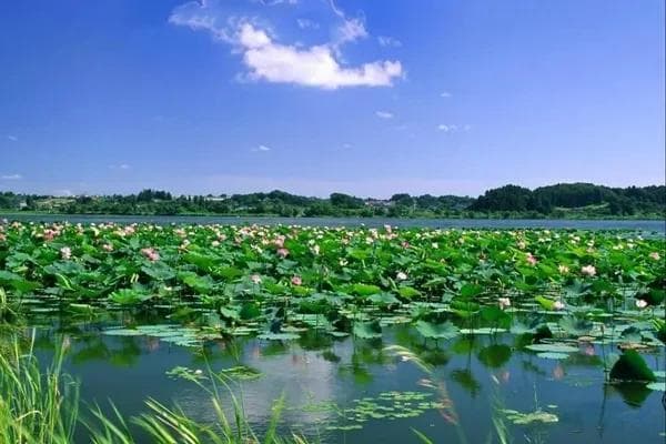 仙桃旅游必去十大景点推荐（“打卡”仙桃“八馆” 深度了解仙桃）
