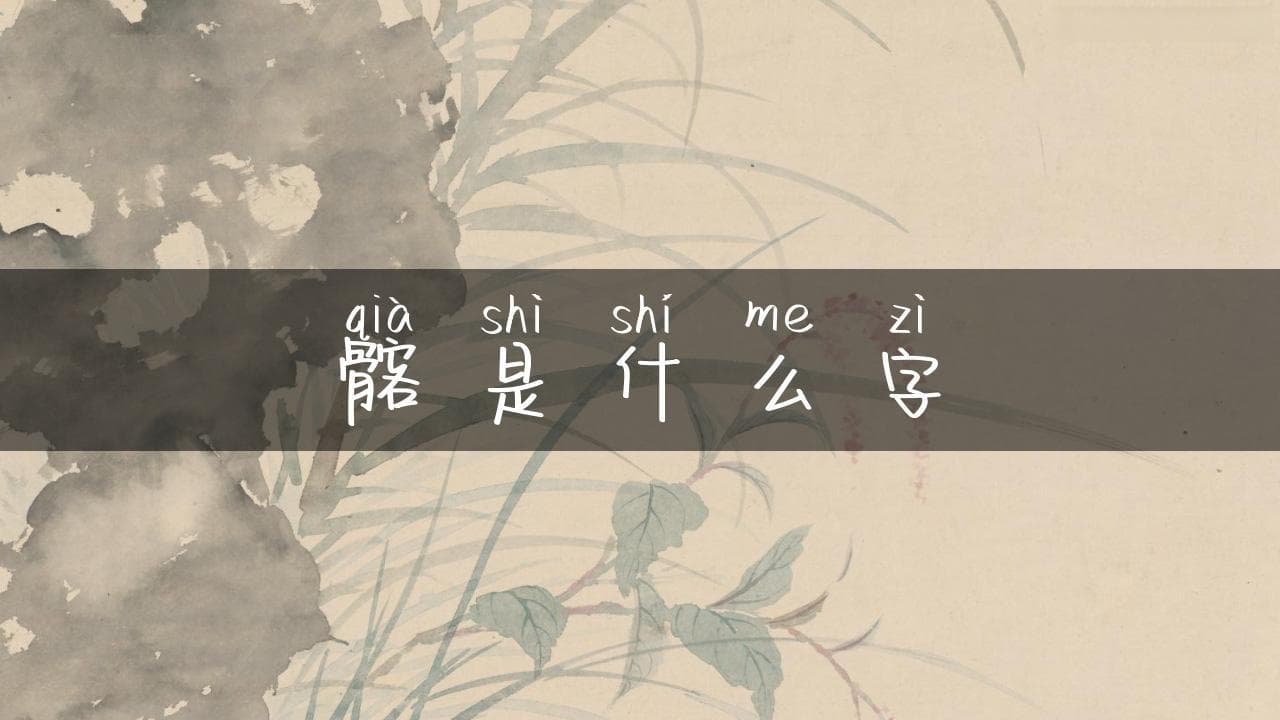 髂是什么字？揭秘人体解剖学中的神秘词汇