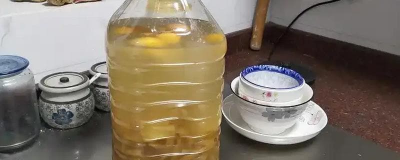 水果皮也能变废为宝？教你自制环保花肥