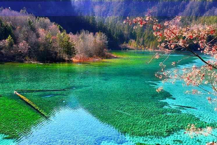 西双版纳至普洱沿途风光与旅行指南