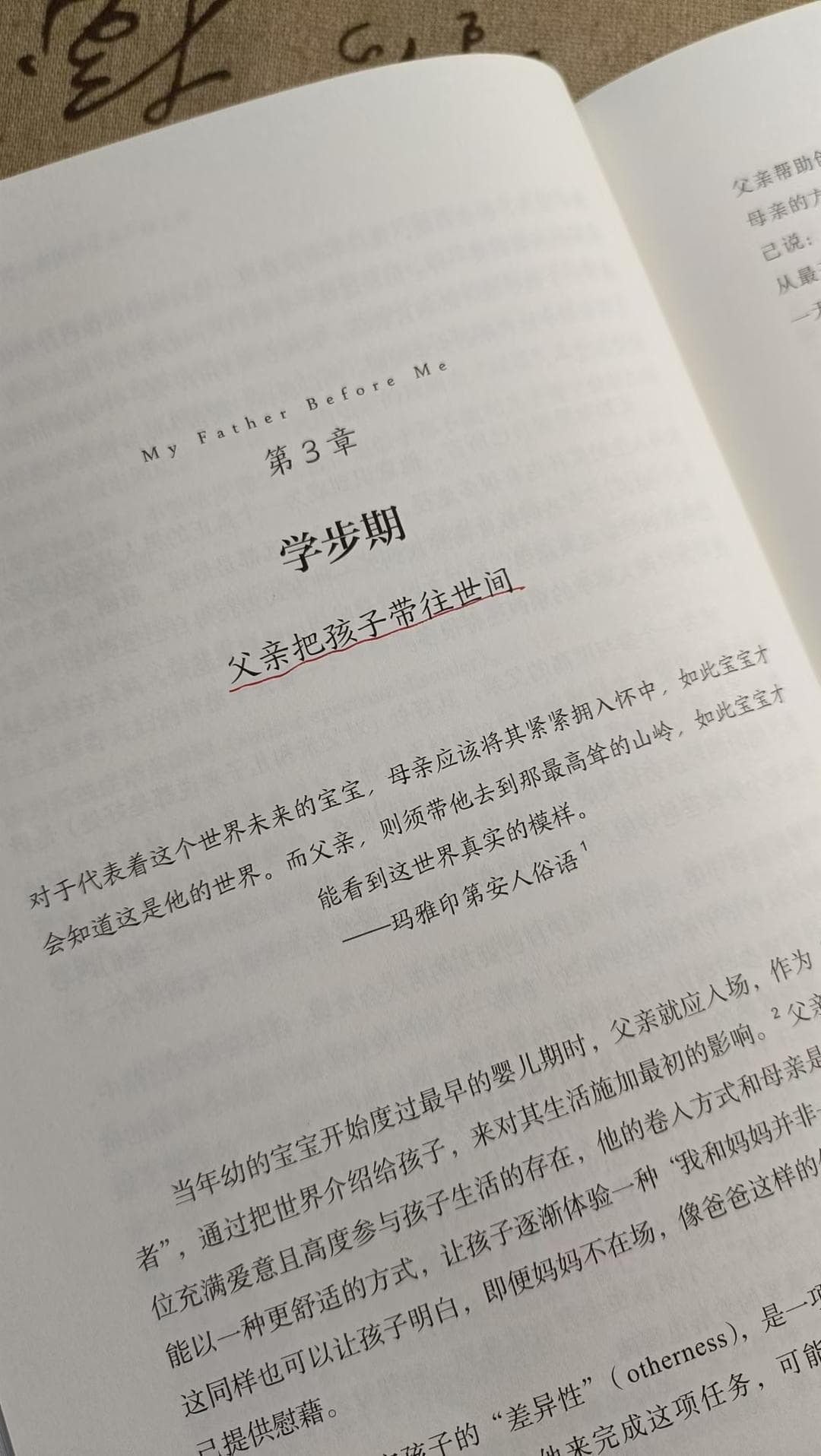《何以为父》：父爱如灯，照亮成长之路！