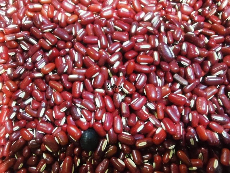赤小豆的功效与食用禁忌：从利水消肿到补血养颜