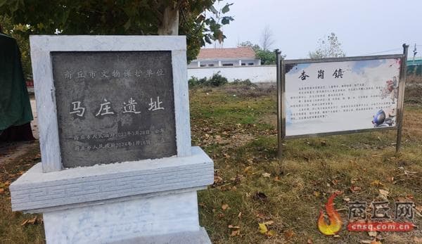 马庄遗址：商丘早期文明第一缕曙光