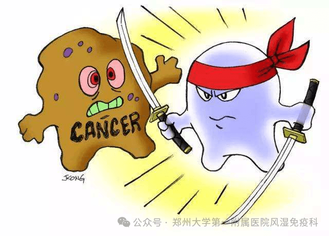 甲氨蝶呤：治病的“双刃剑”，作用与副作用的双面人生