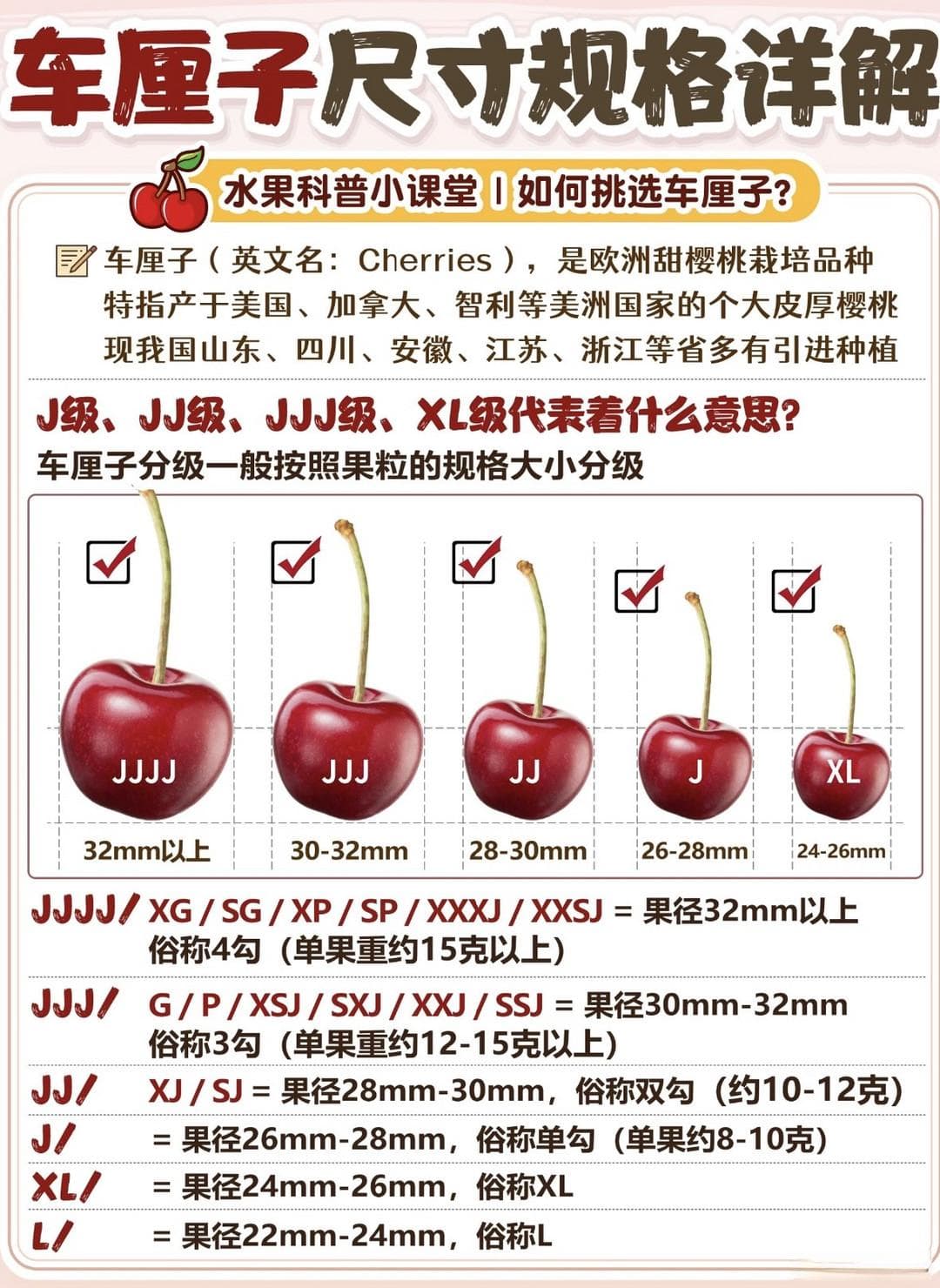 如何挑选车厘子呢？