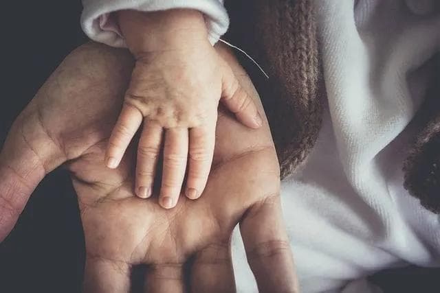 孩子的自主成长之路：如何培养孩子的独立思考和决策能力？