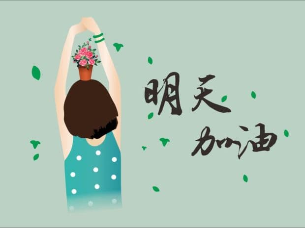 多肉老桩花盆怎么选，打造舒适花园小天地