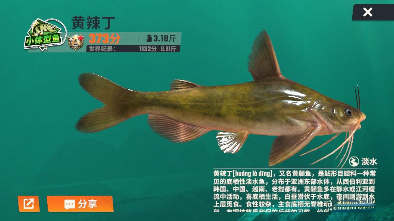 清蒸黄辣丁、红烧黄辣丁：两种经典烹饪方法详解