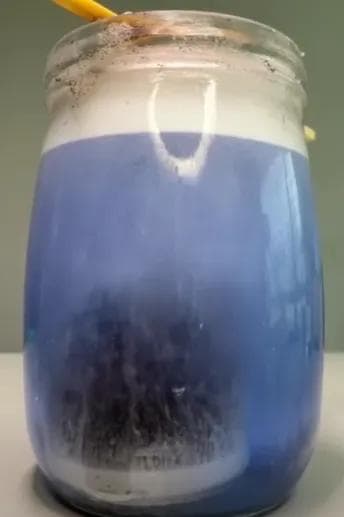 可乐罐放进洁厕灵里变透明薄膜，薄膜的存在竟和早熟有关，加州为此贴上警告
