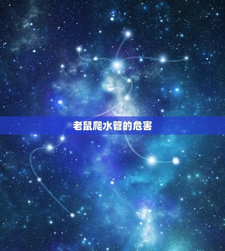防止老鼠爬水管的方法(有效防范老鼠入侵水管的方法)