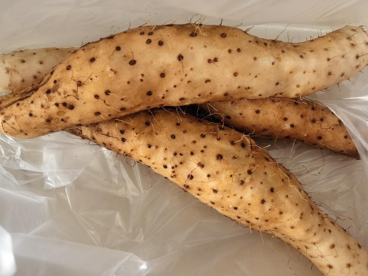 土炒山药的自制过程