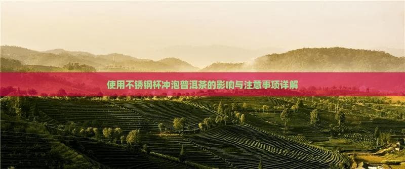 使用不锈钢杯冲泡普洱茶的影响与注意事项详解