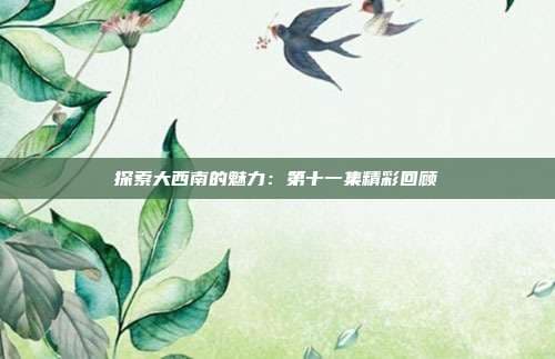 探索大西南的魅力：第十一集精彩回顾