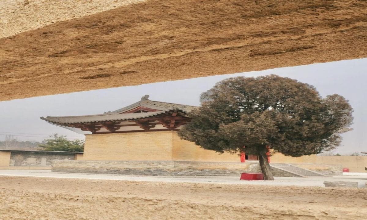 1958年中国建首个遗址博物馆，如今已成文化遗产保护重要力量