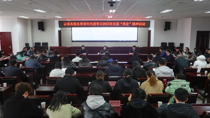 云南举行各族各界青年代表学习2025年全国两会精神活动