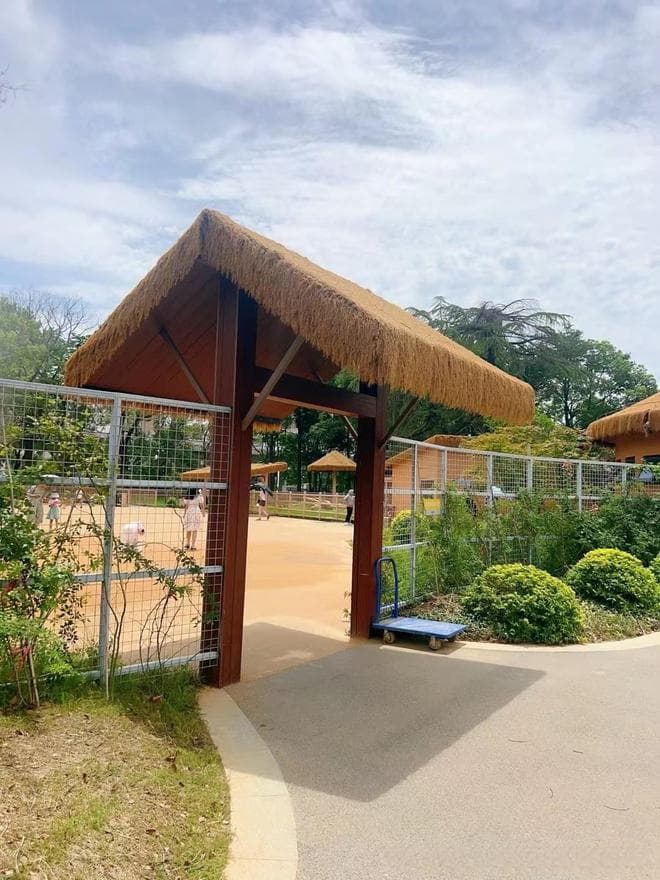 仿真茅草设计：再现原生茅草之美