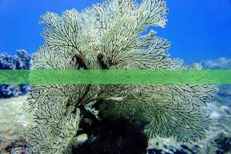 崇左温泉度假村：广西崇左温泉度假村推荐与位置指南