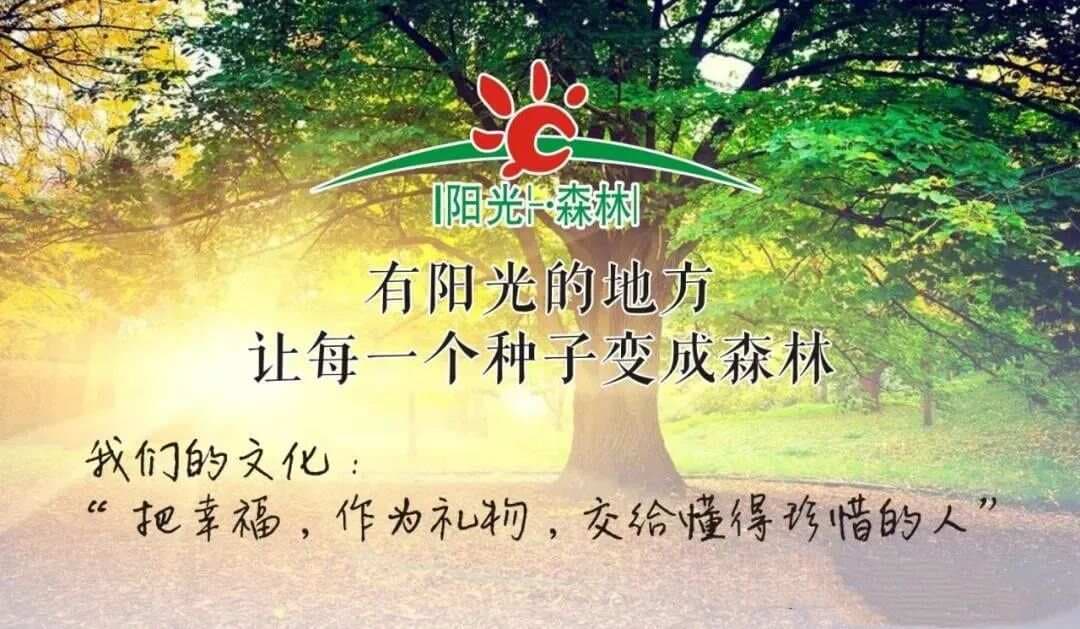 认识营养素---镁！生命健康的关键元素！