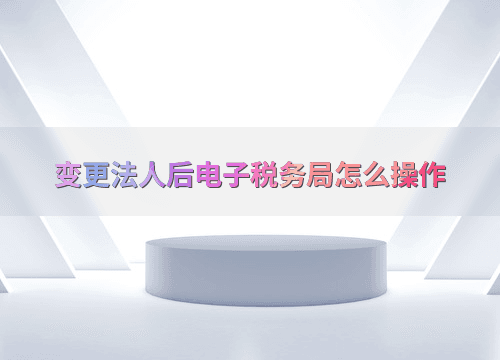 变更法人后电子税务局怎么操作