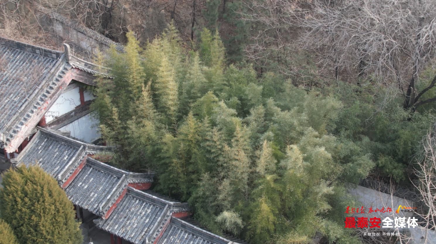 【蛇年话蛇·泰山蛇传说故事】竹林寺轶事：灵蛇与人之间的温情羁绊