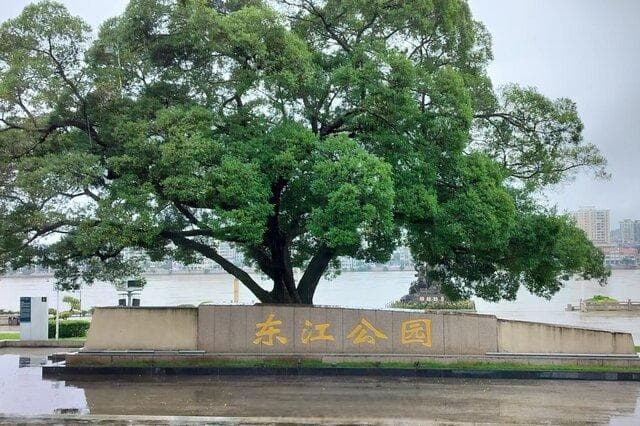 惠州十大露营圣地全攻略：从海边到山林的露营天堂