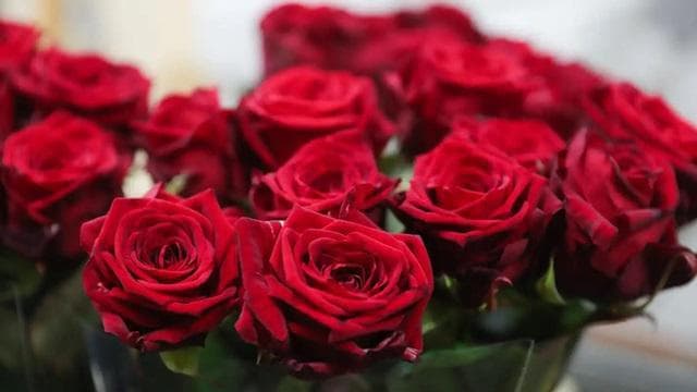 走近中药：认识一下玫瑰花，可不仅代表爱情，养生价值也不能忽视