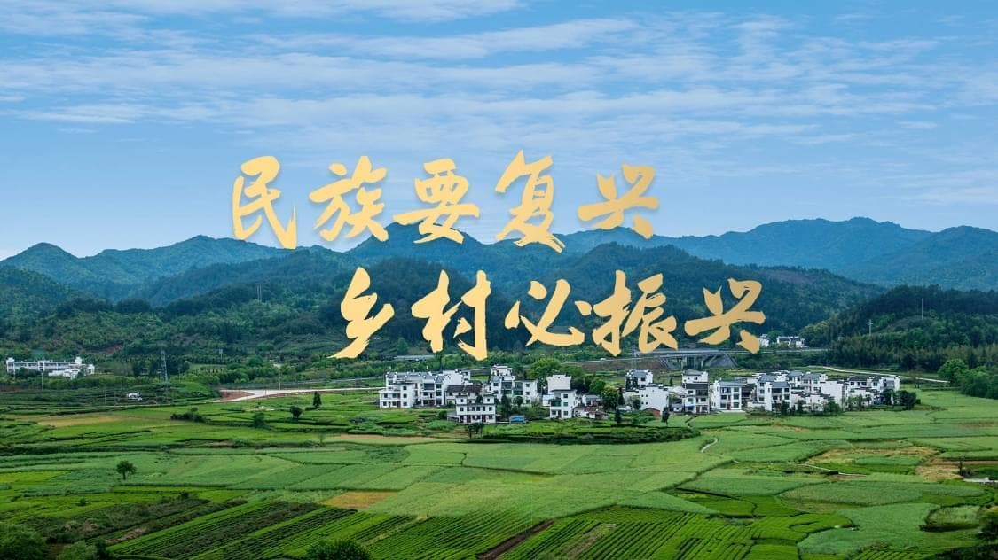 乡村振兴的本质是提高农民的收入，而不是做表面文章！