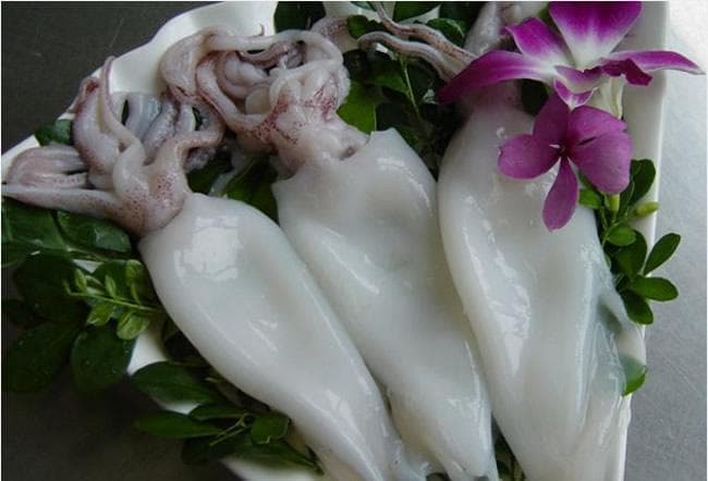 木瓜蛋白酶在鱿鱼脱皮中的最佳反应条件