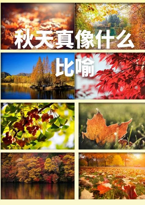 秋天真美的多维解析