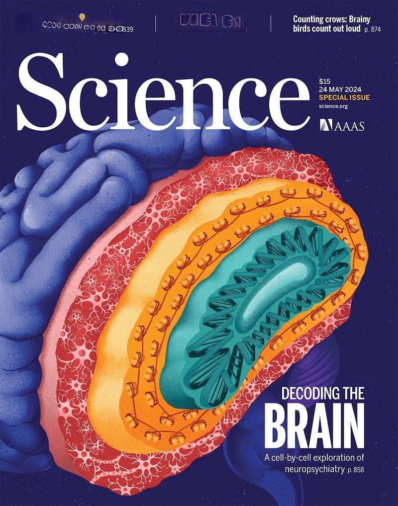 《科学》系列杂志发表十几篇论文，神经与精神疾病单细胞水平研究结果重磅发布