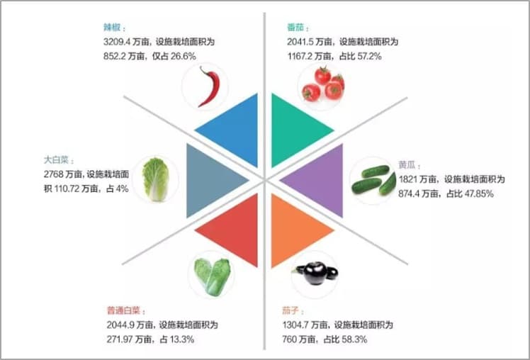 国内辣椒机械化收获回顾与展望