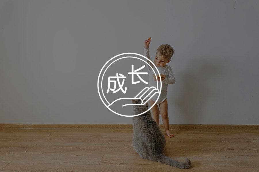 权威型教养方式：平衡爱与纪律的育儿艺术