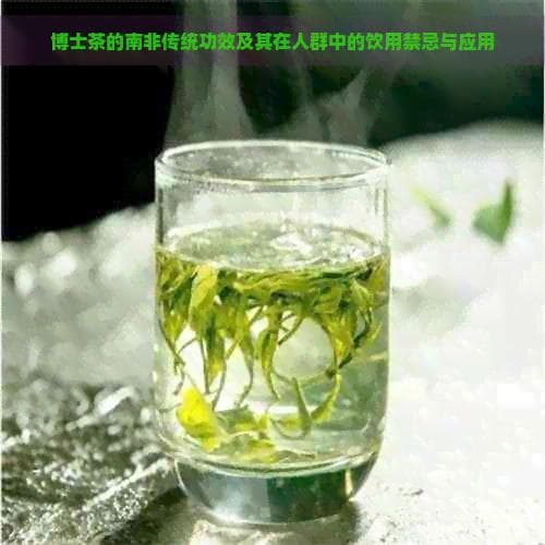 博士茶的南非传统功效及其在人群中的饮用禁忌与应用