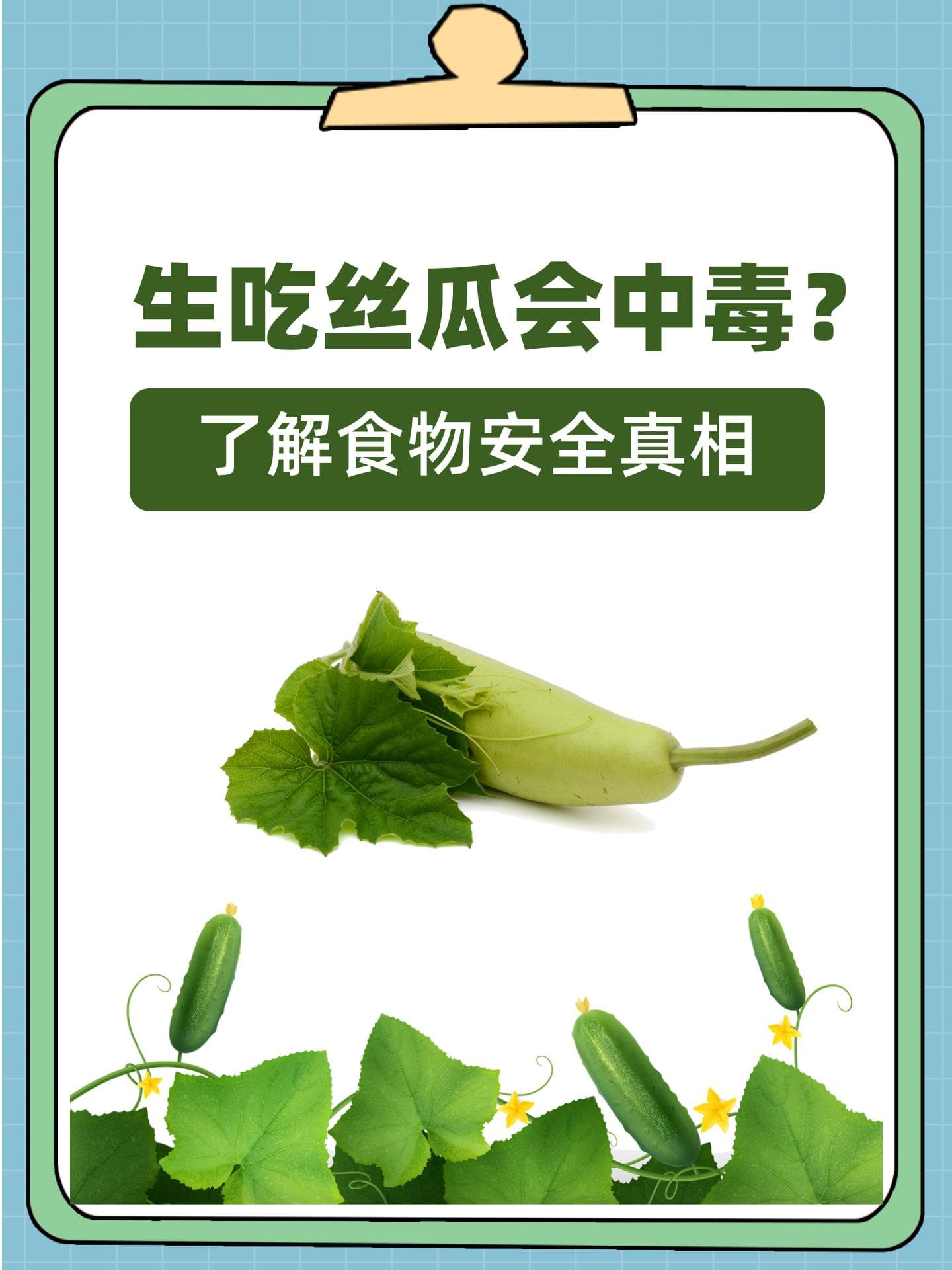 生吃丝瓜会中毒？了解食物安全真相