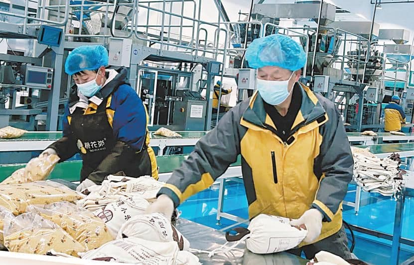 米脂县聚焦小米全产业链建设，实现——好资源变好产品 好品质变好品牌