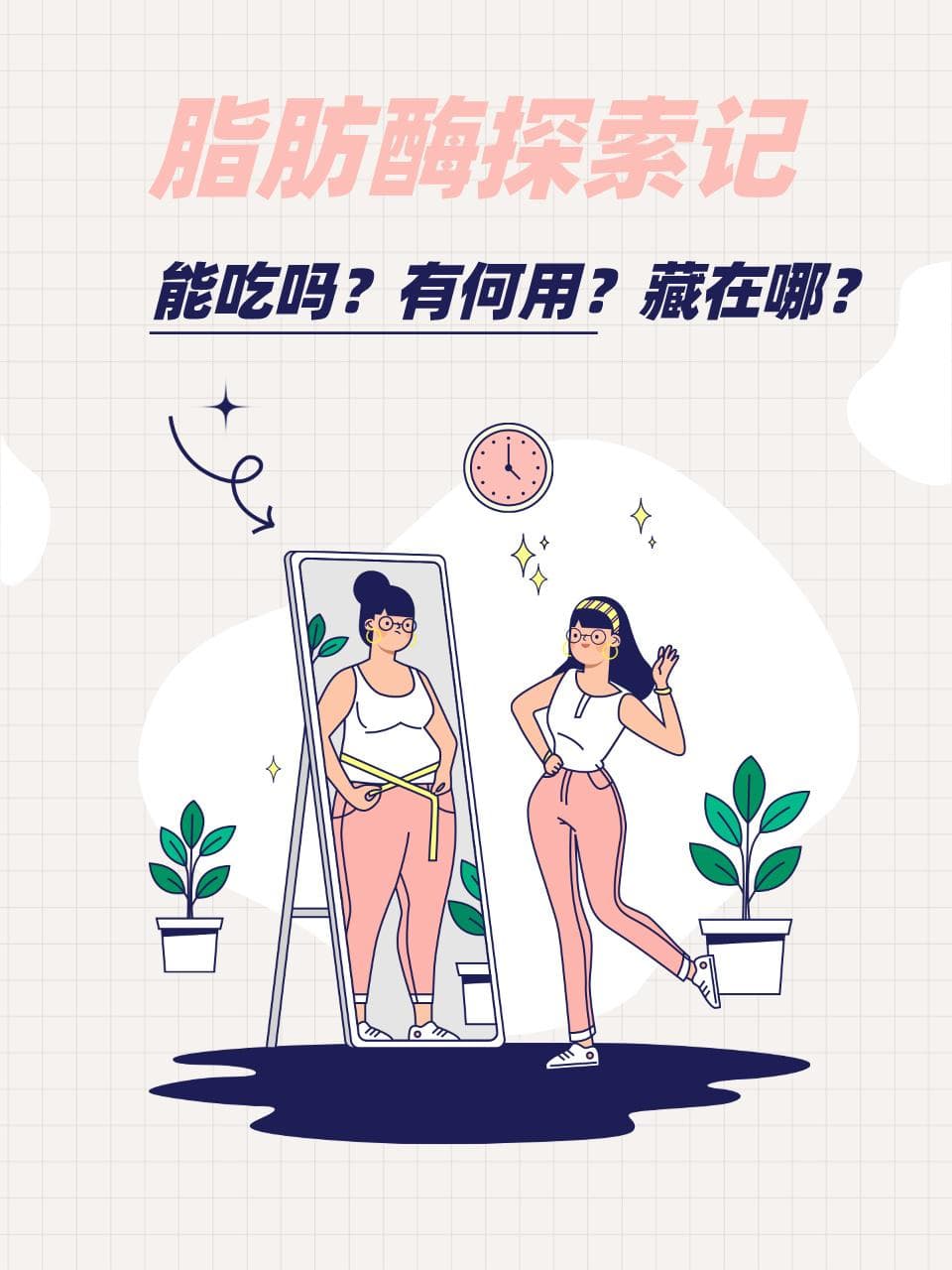 脂肪酶探索记：能吃吗？有何用？藏在哪？