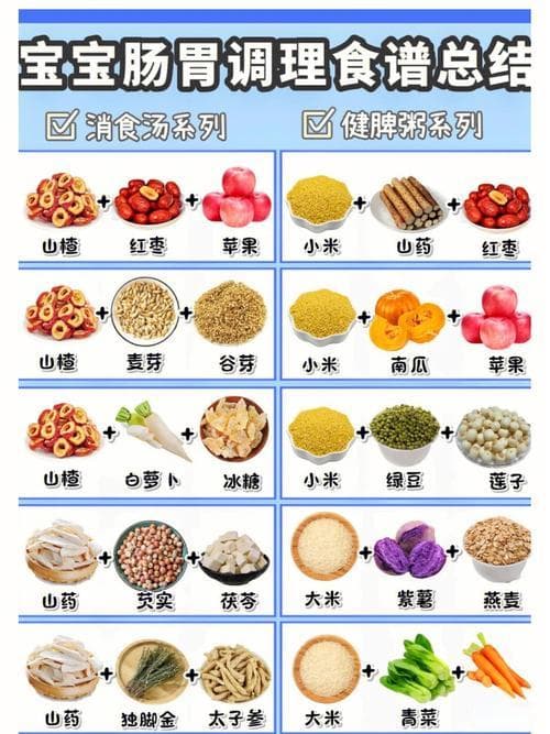 食疗食谱助力肠道有益菌群平衡增长与调节